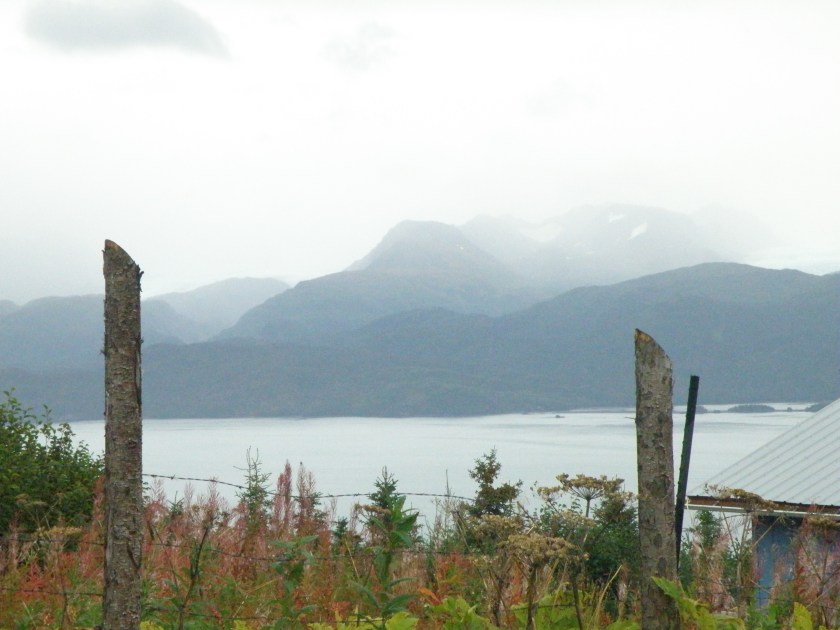 The view from my garden on a rainy September evening.