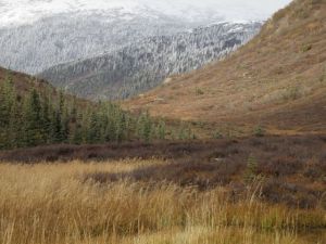 photo by Dean Sundmark