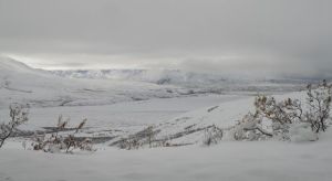 Denali looking west