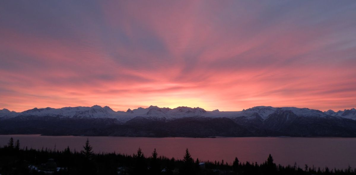 Five-Acre Almanac: This Sad&nbsp;World