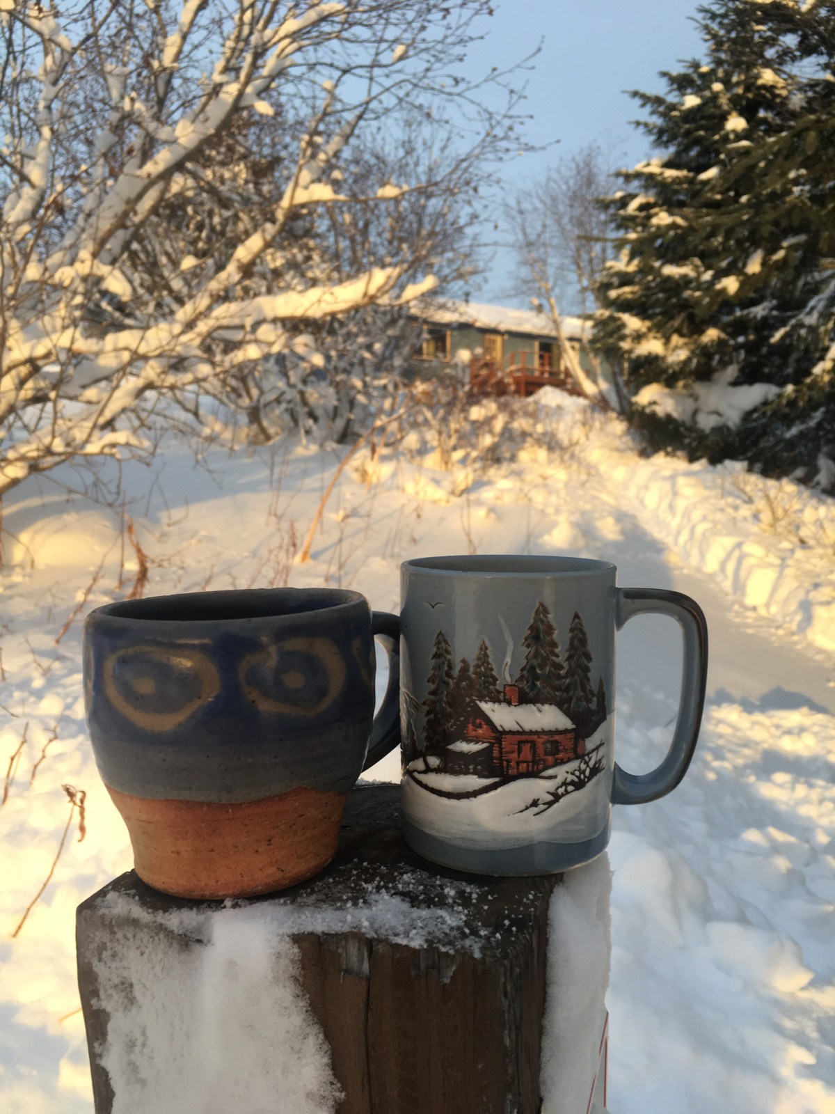 Five-Acre Almanac: Natural&nbsp;Forces