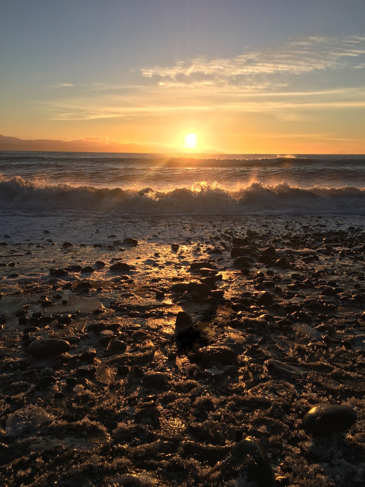 Five-Acre Almanac: A Few Days After Winter&nbsp;Solstice