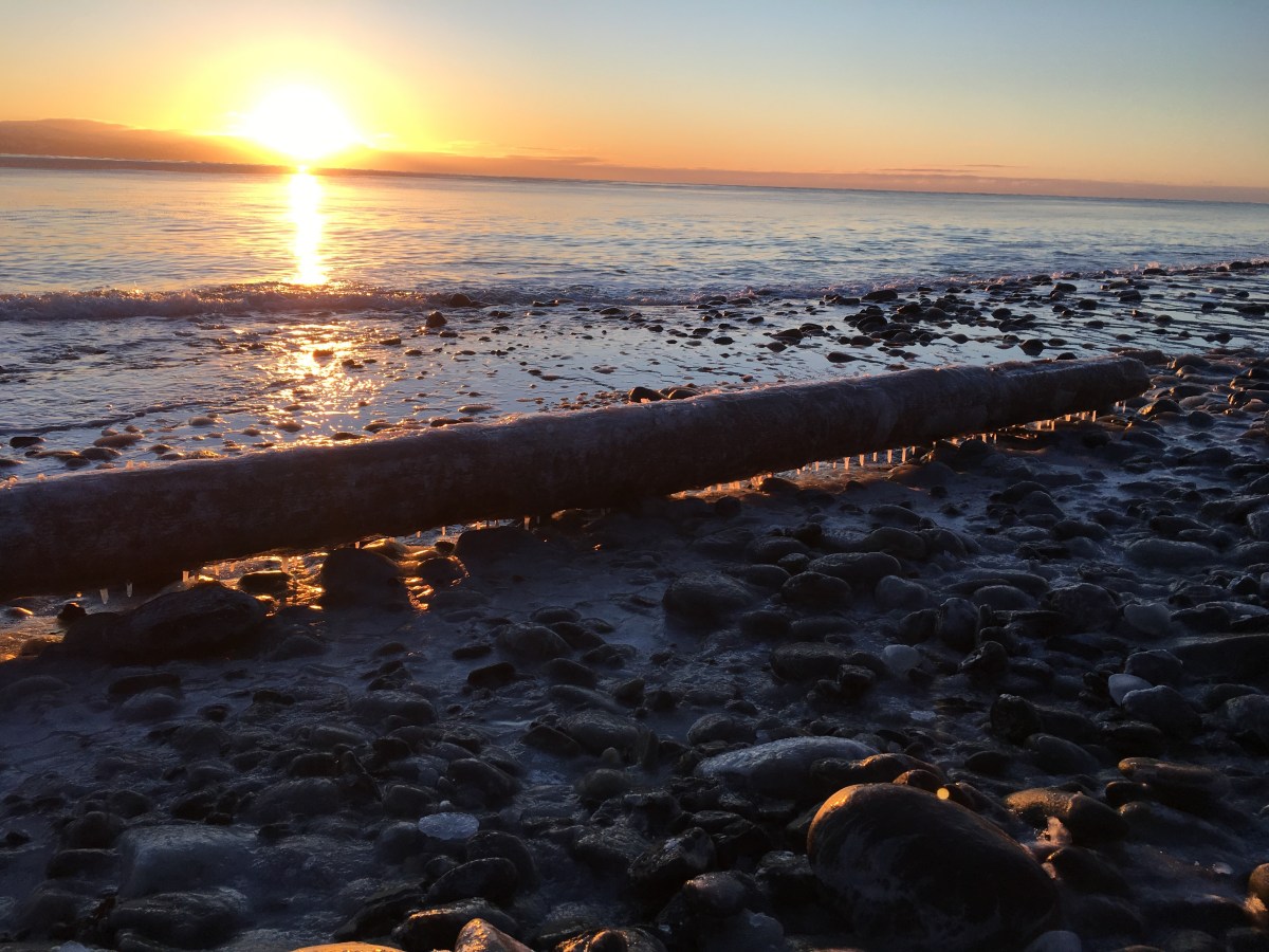 Five-Acre Almanac: January&nbsp;Light