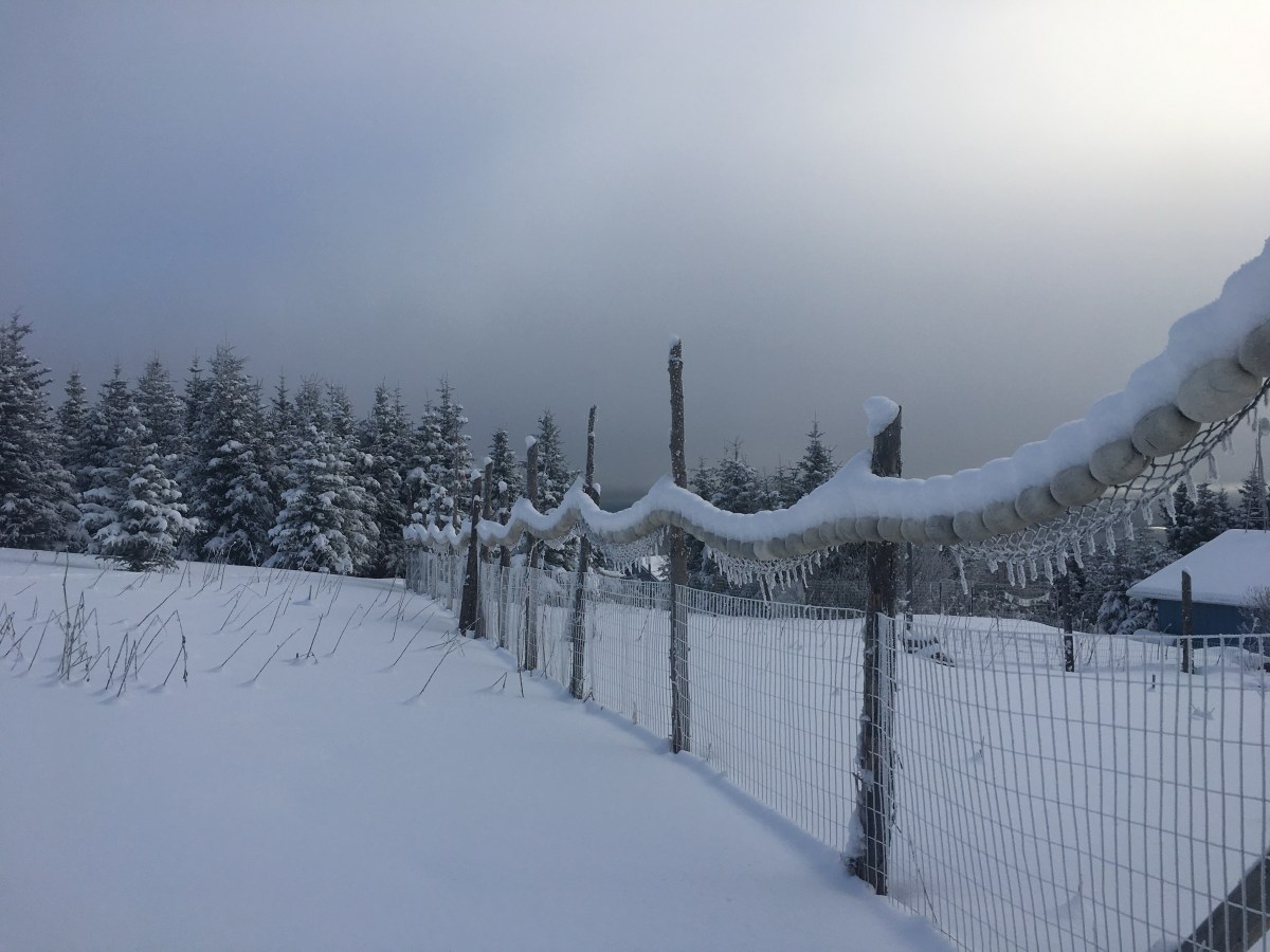 Five-Acre Almanac: Halfway&nbsp;There