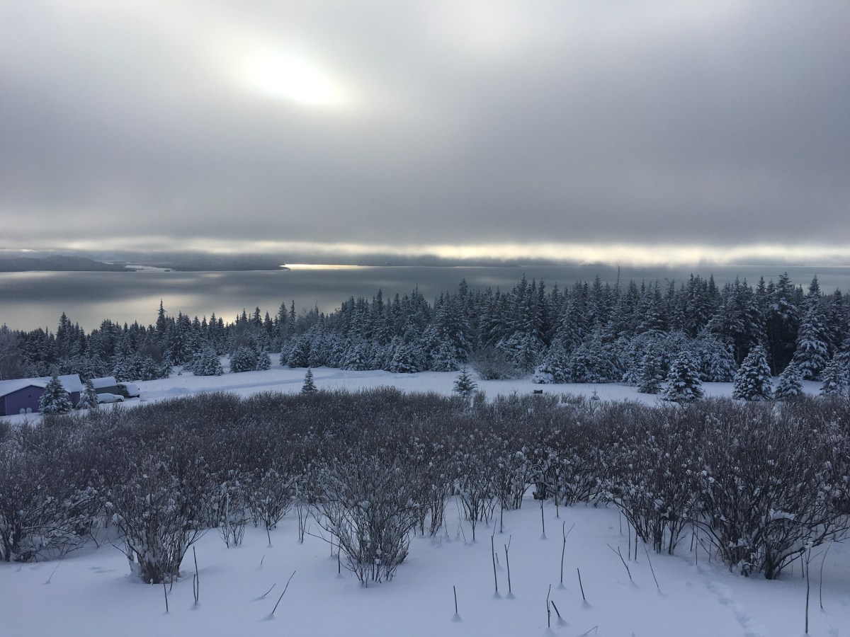 Five-Acre Almanac: Brightening&nbsp;Sky