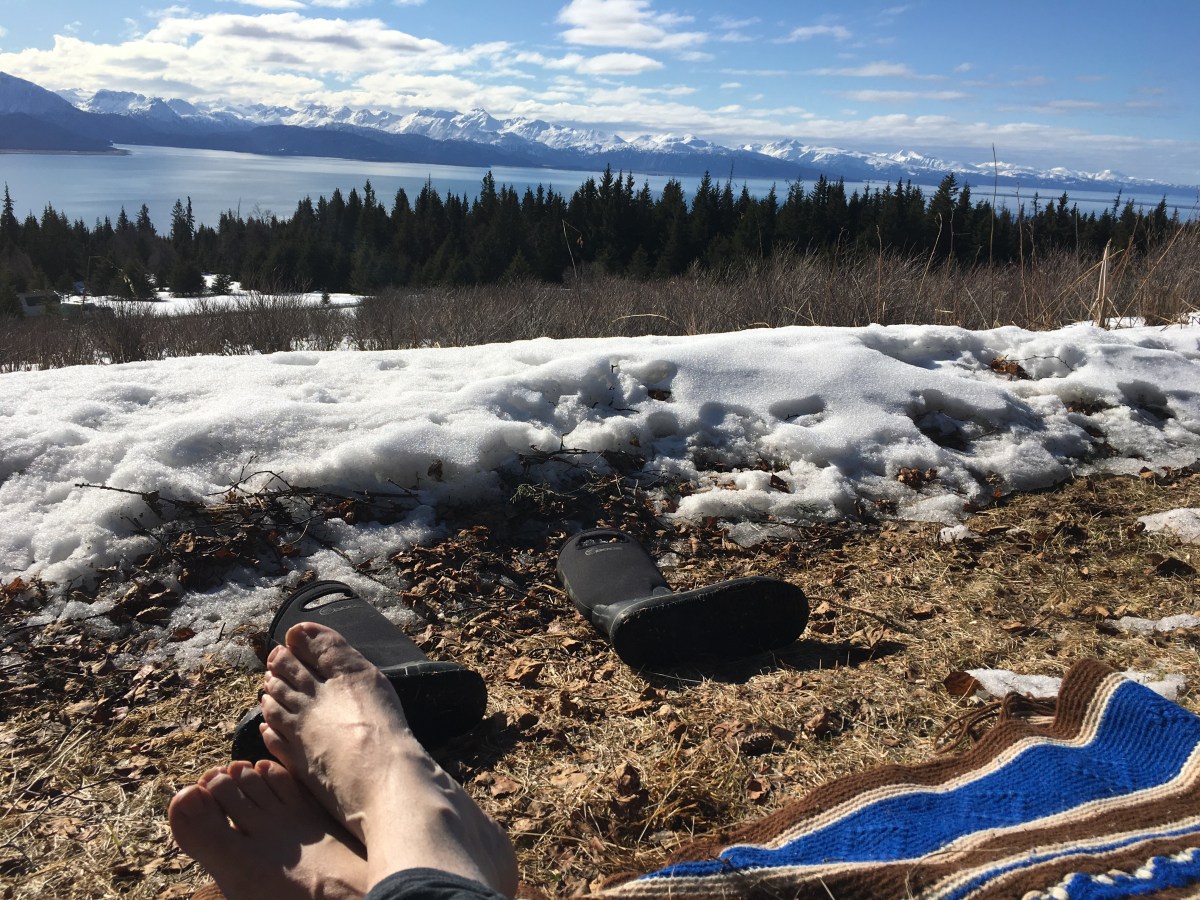 Five-Acre Almanac: Spring&nbsp;Equinox