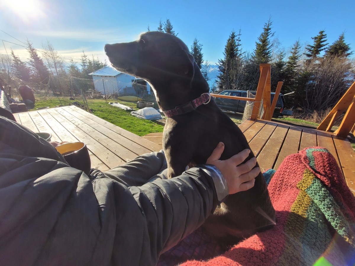 Five-Acre Almanac: Hard&nbsp;News