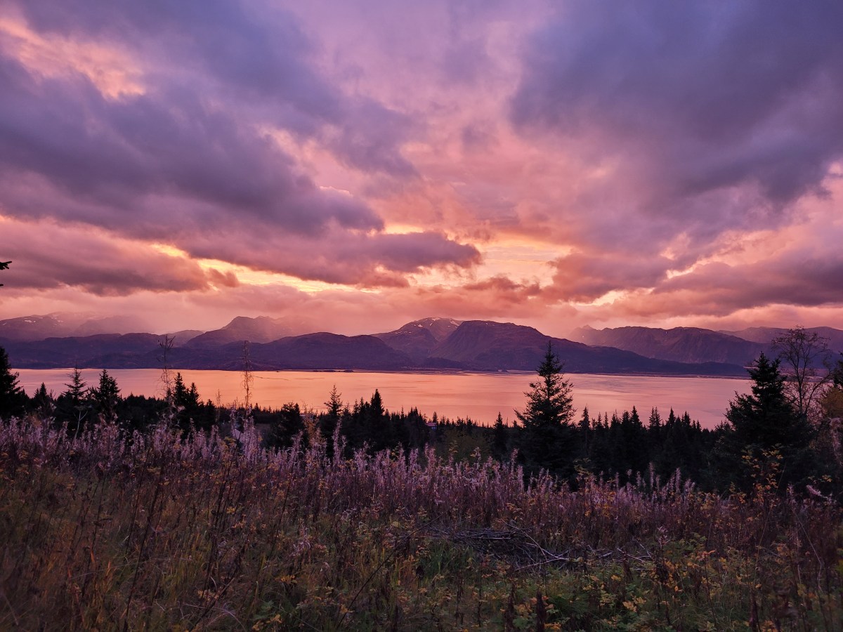 Five-Acre Almanac: Here&nbsp;Again