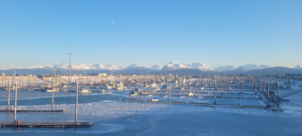 A frozen Homer Boat Harbor 
